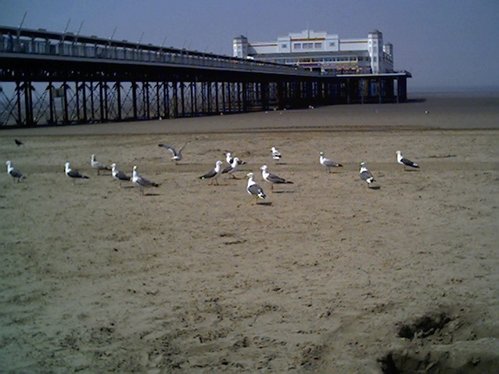weston pier from the beach