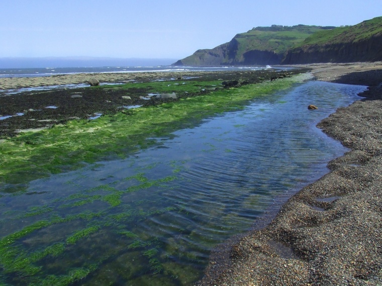 Photograph of Ravenscar, North Yorkshire