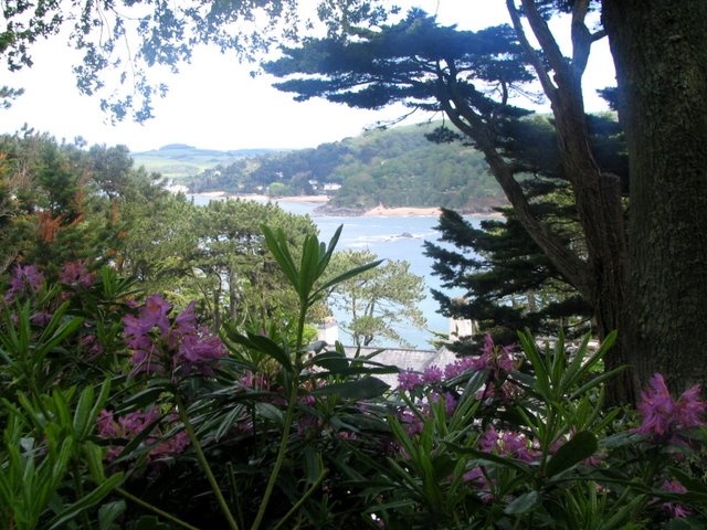 Overbeck's Gardens, Salcombe, Devon photo by Barry