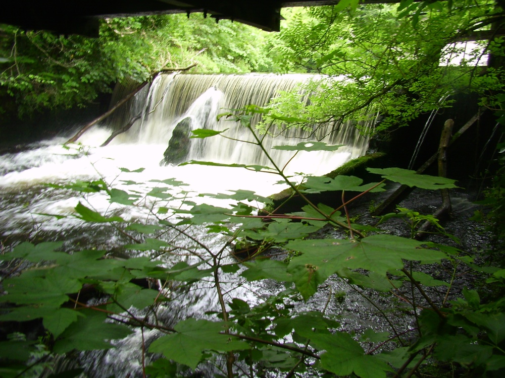 The Wier at Cress Brook Mill - The Peak District