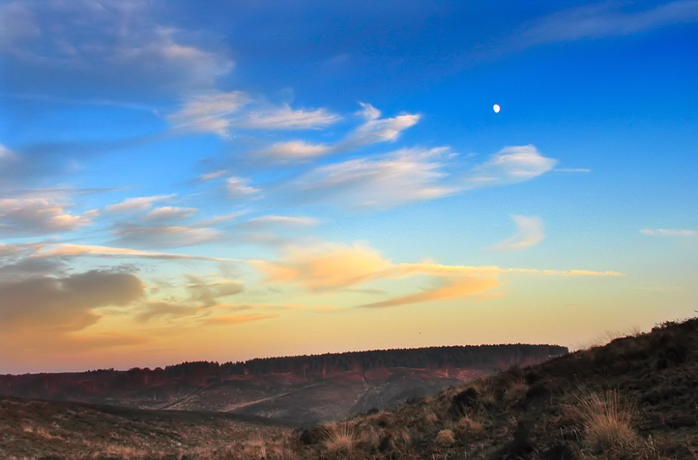 Cannock Chase Country Park, Staffordshire