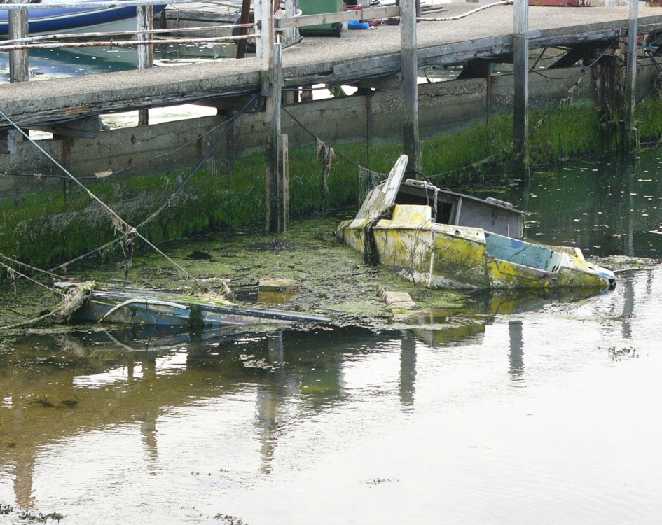 Reflections, Bembridge, Isle of Wight