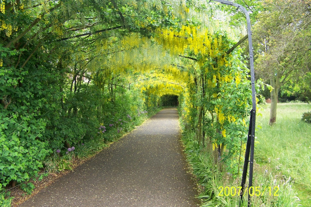 Hampton Court Palace Gardens, East Molesey, Surrey