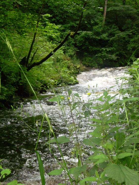 The River Wye on Millers Dale