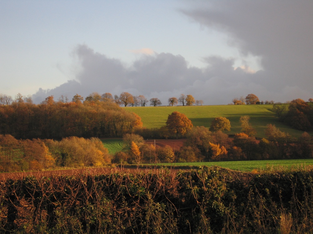 Callow, Herefordshire