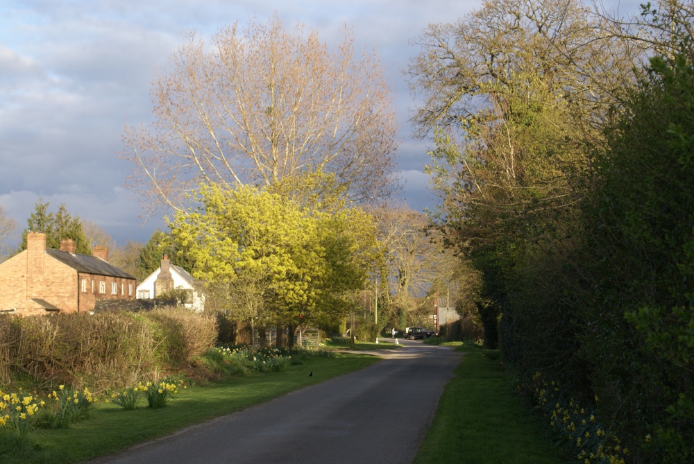 Photograph of Marston in the evening