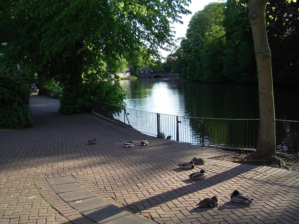 Minster Pool. Lichfield