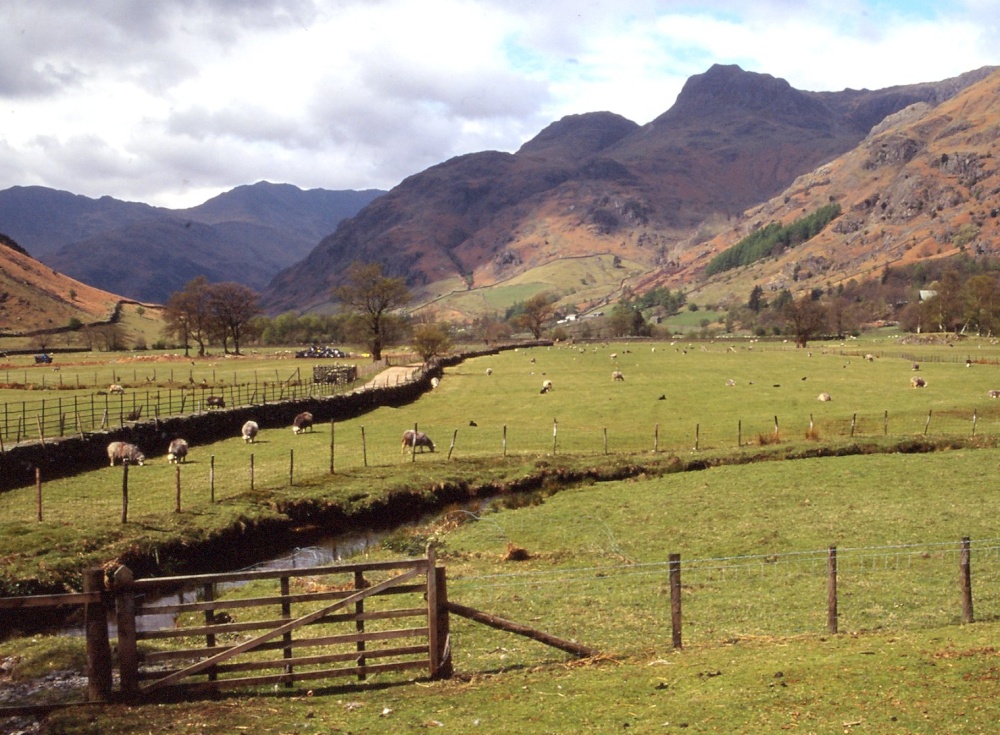 Langdale Pikes