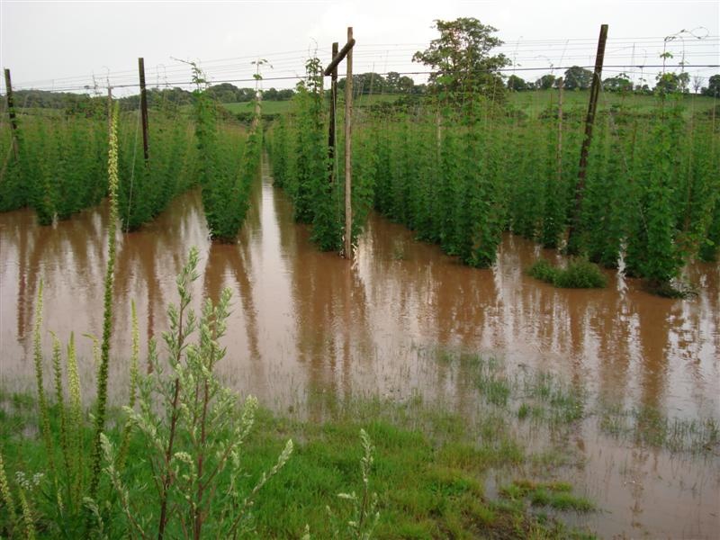 Floods at Newnham Bridge, Worcestershire