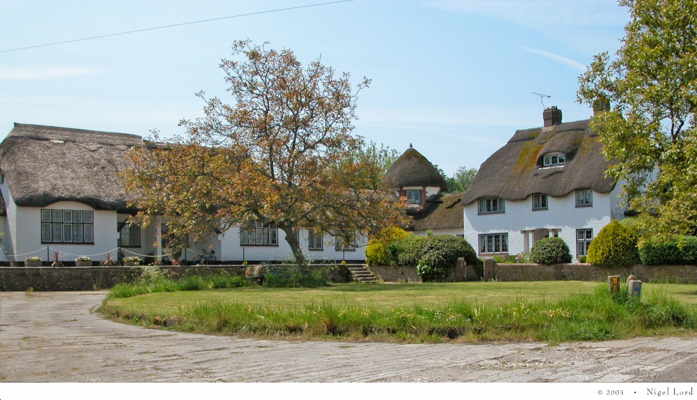 The Dairy Ring at Briantspuddle