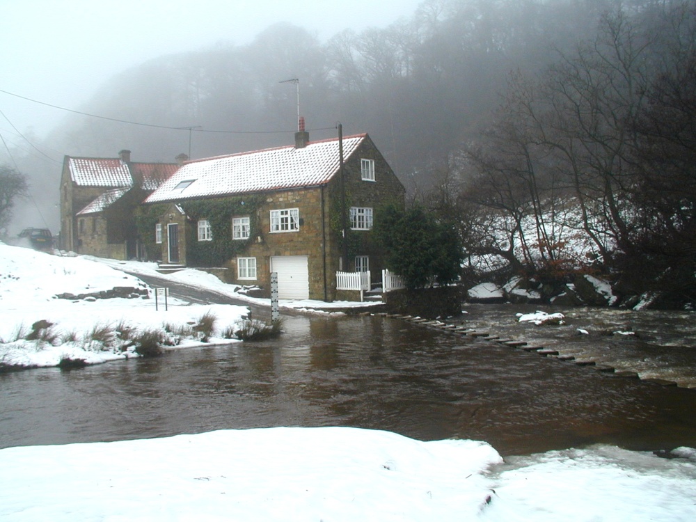 Winter at Darnholme