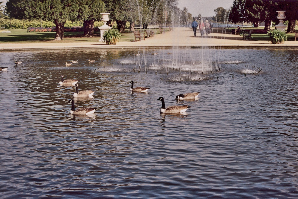 Hampton Court Pictures, East Molesey, Surrey