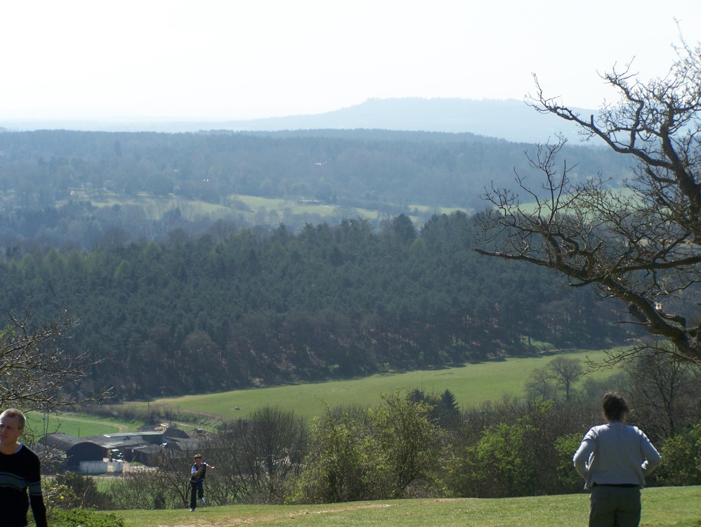 Newlands Corner, near Guildford