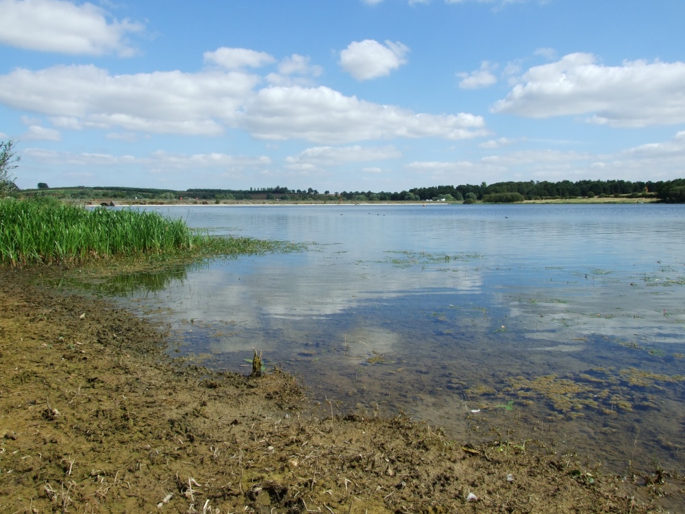 Pitsford Resr, Northampton, Northamptonshire