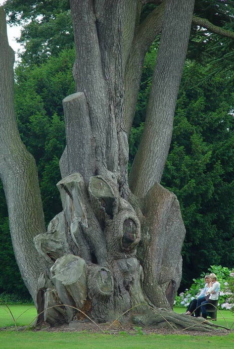 Escape for a day out at Nymans Garden, Handcross, West Sussex