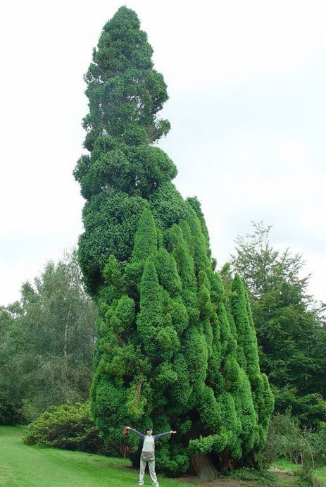 Escape for a day out at Nymans Garden, Handcross, West Sussex