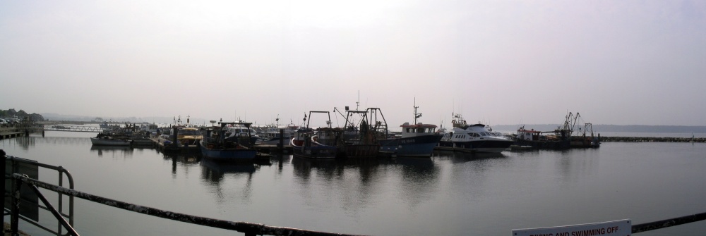 The fishing fleet, Poole