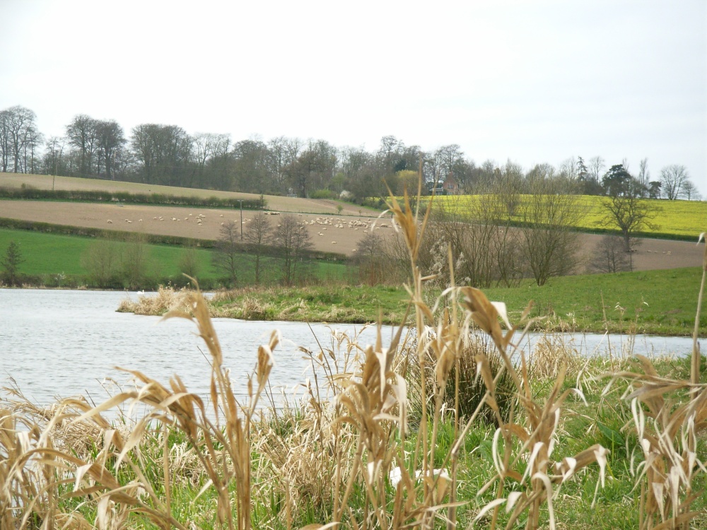 Staunton Harold Reservoir, Leicestershire