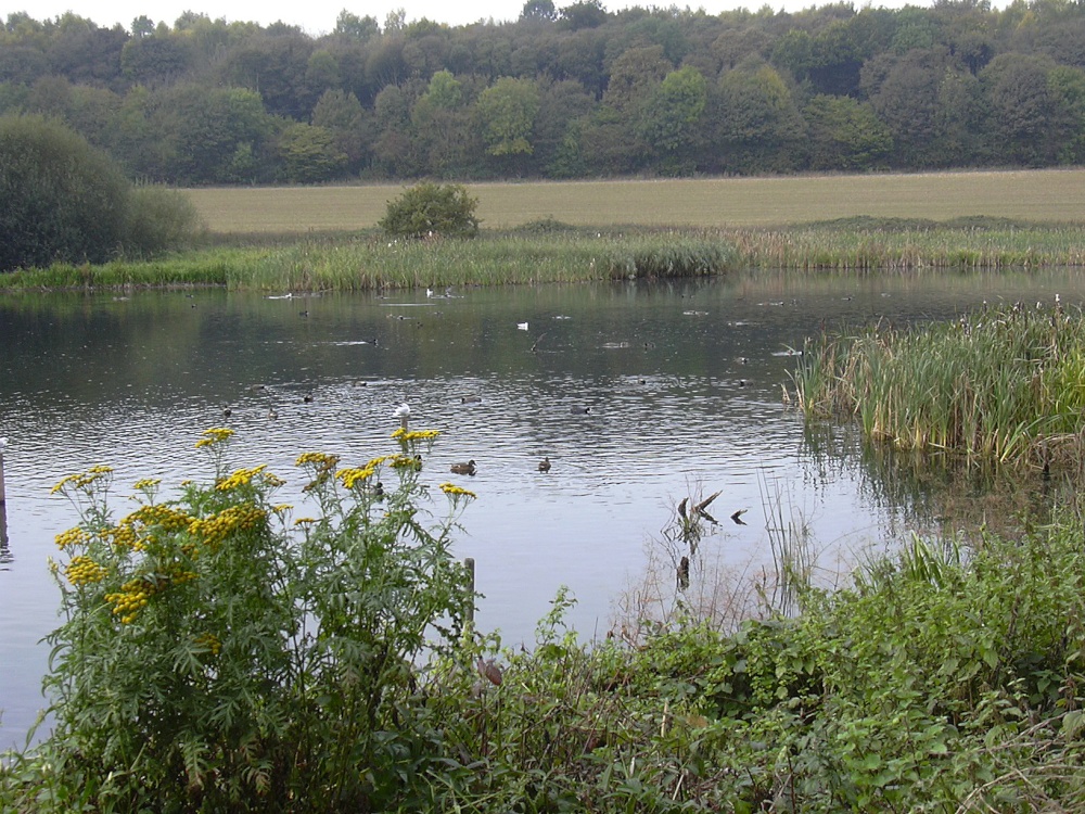 Sprotbrough Flash, South Yorkshire