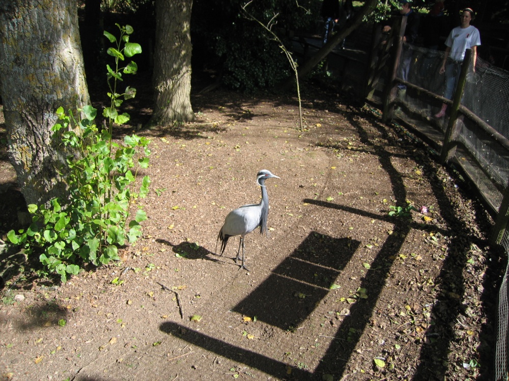 Newquay Zoo, Cornwall