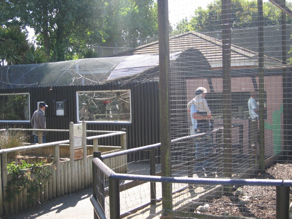 Newquay Zoo, Cornwall