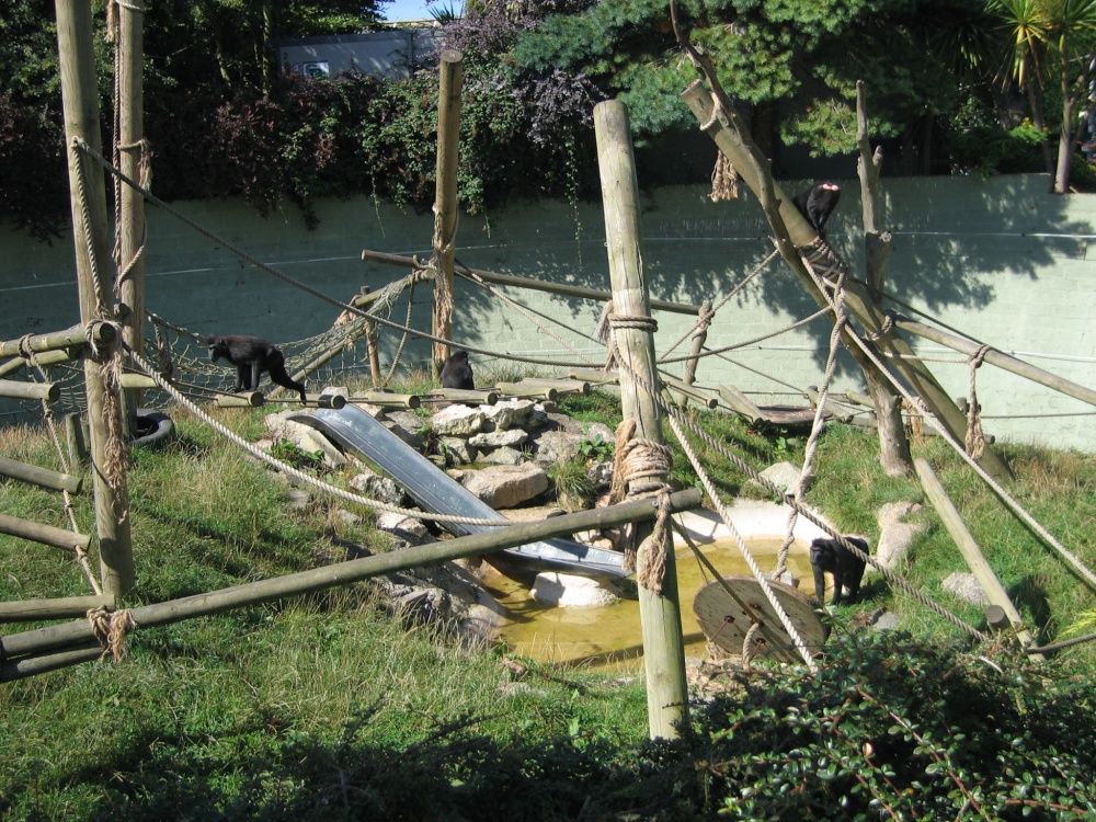 Newquay Zoo, Cornwall