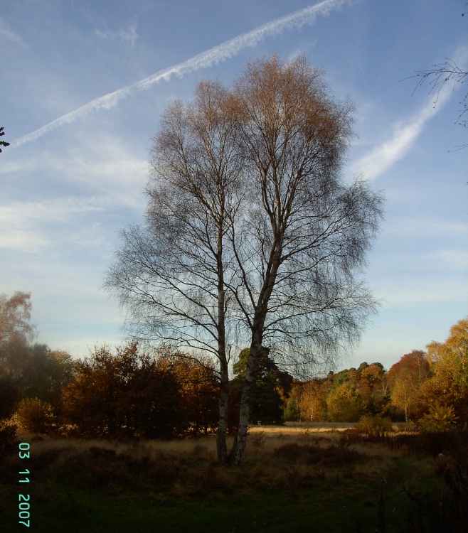 Clumber Country Park, Worksop, Nottinghamshire