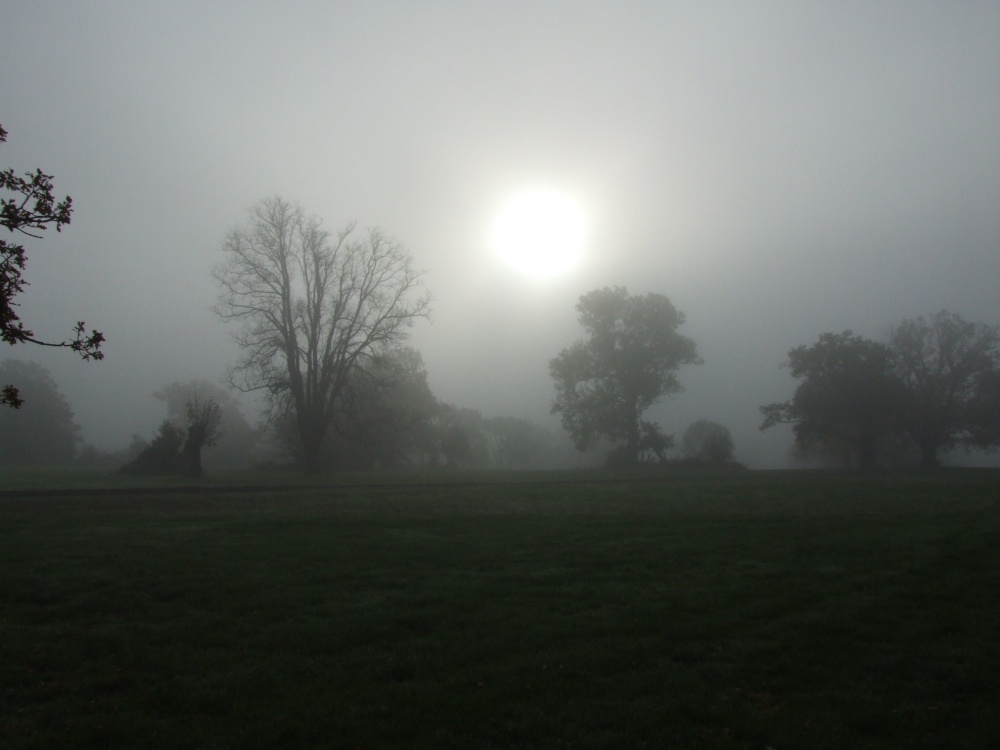 Misty morning