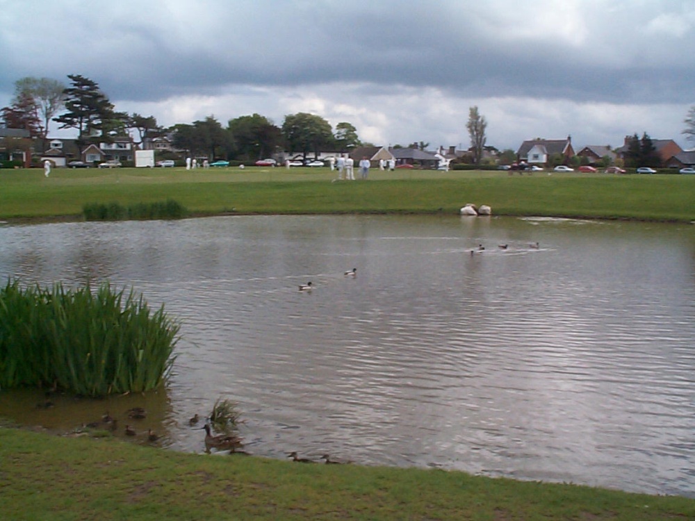 The duck pond at Wrea Green