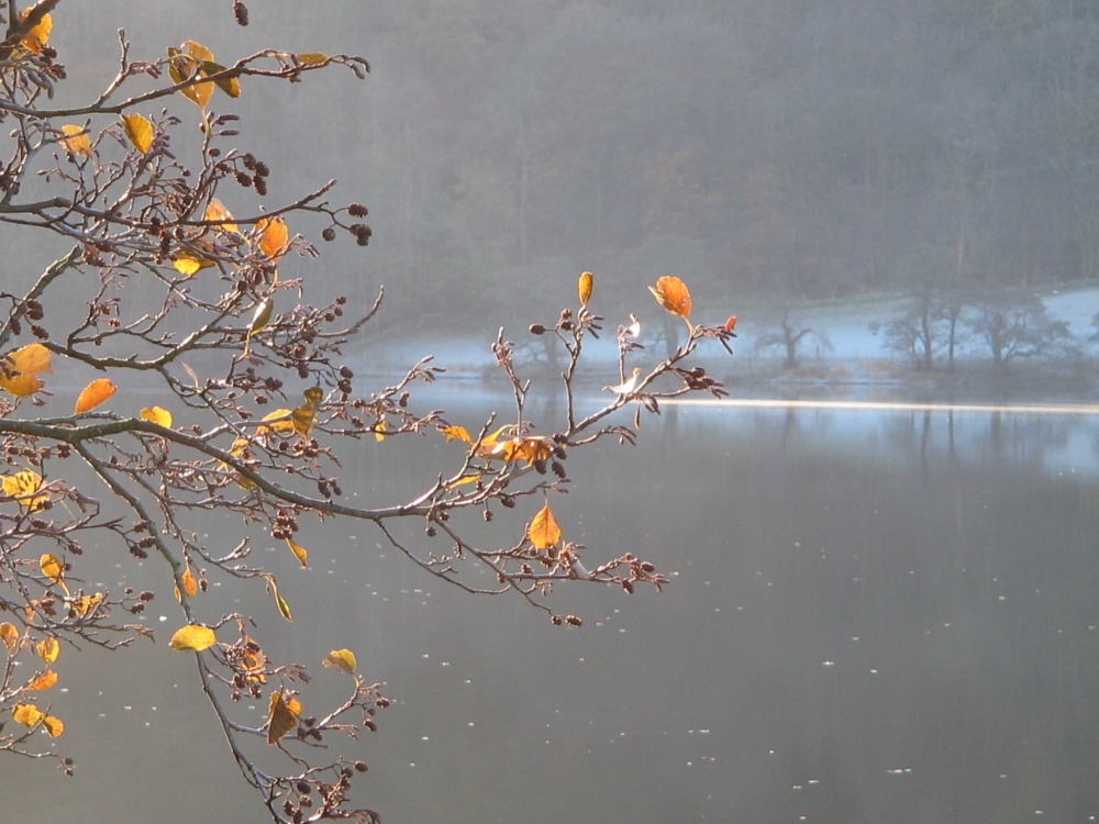 Grasmere, Cumbria on a cold November afternoon.