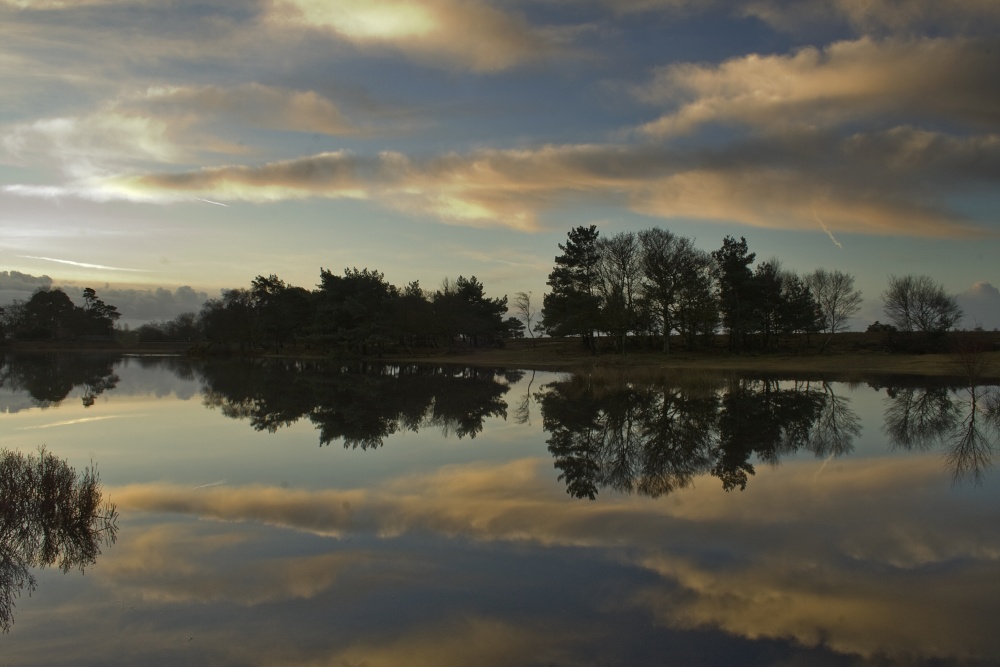 Early morning at Hatchet Pond, New Forest, Hampshire