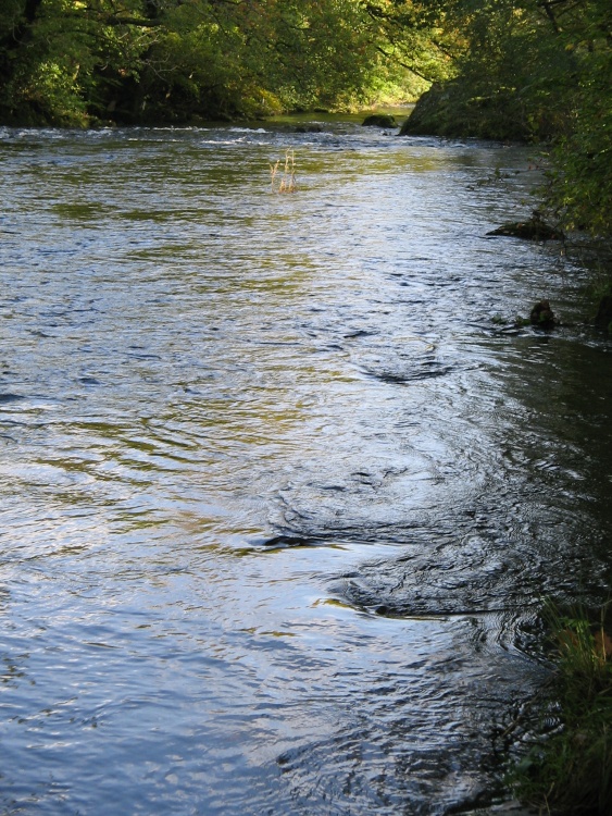 October, the Brathay River, nr. Ambleside,Cumbria.