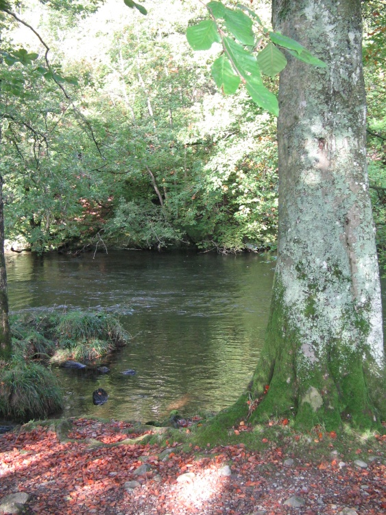 October, the Brathay River, nr. Ambleside,Cumbria.