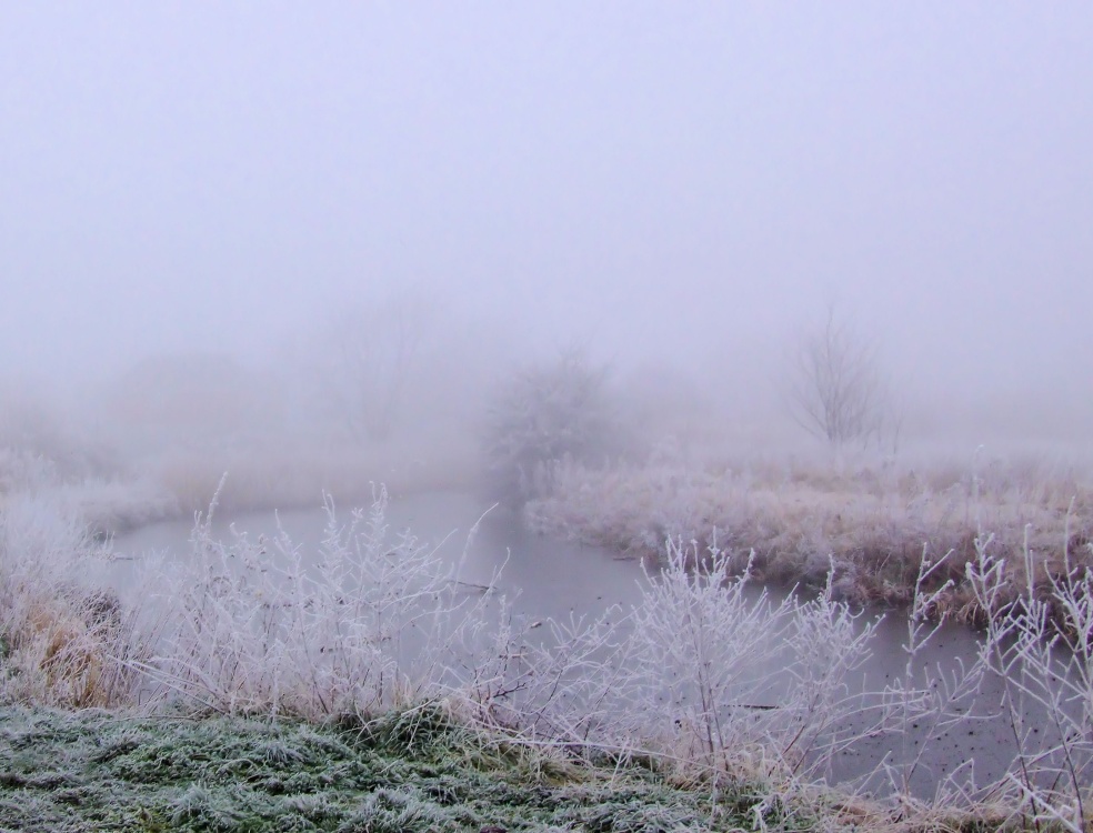 Photograph of Frosty Morning In Gamston, Nottinghamshire