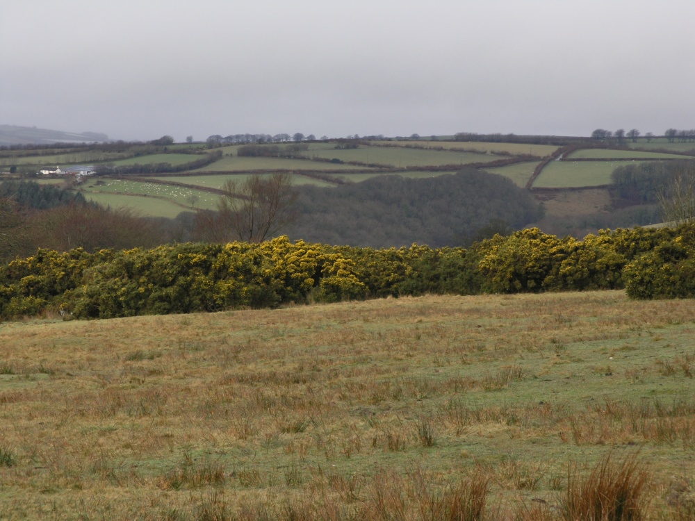 Cussacombe Common, Twitchen, Devon