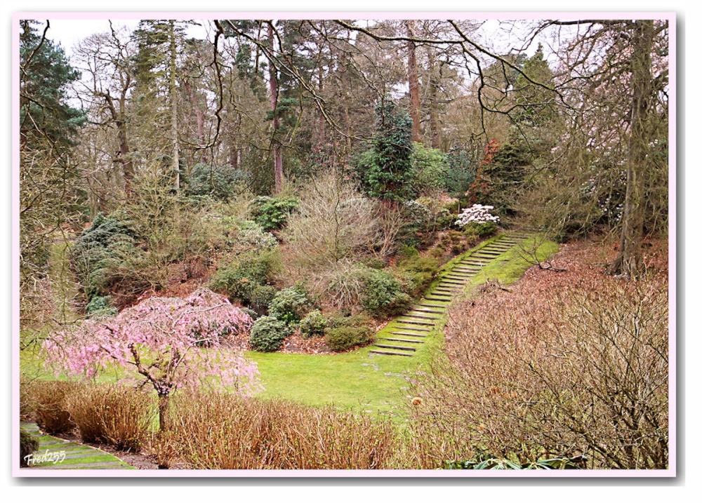 Gardens At Virginia Water