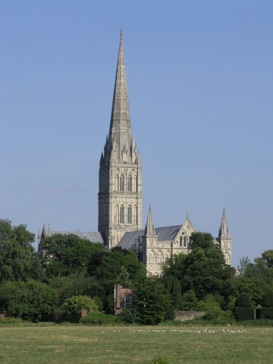 The West front of the cathedral through the trees from Harnham