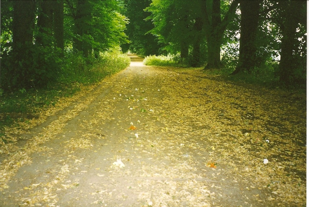 Green Lane. A memorial to mother