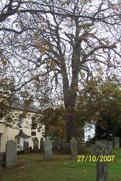 Church Yard, Sidmouth, Devon