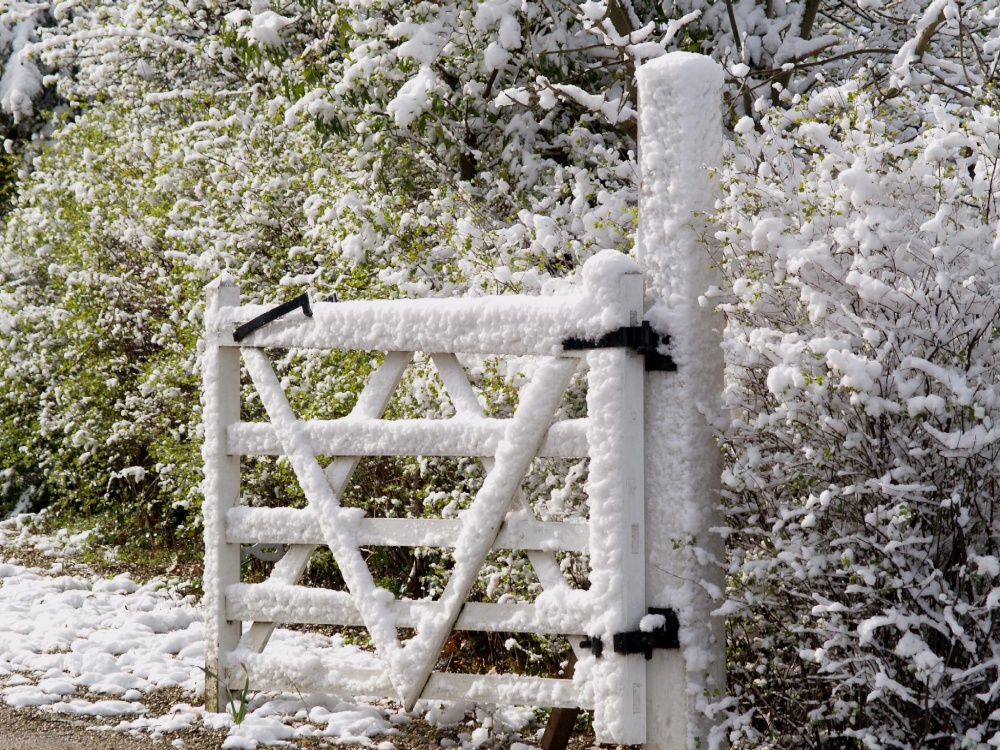 Steeple Claydon, Bucks. Snow on 6th April 2008.