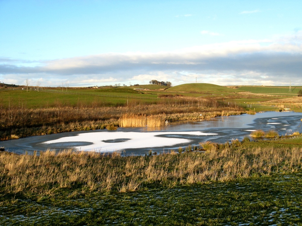 Frosty evening, Herrington Country Park.