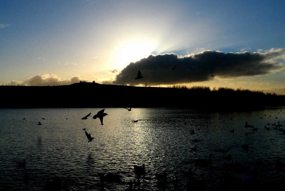 Late evening, Herrington pond.