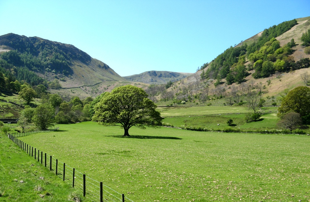 Glencoyne, Ullswater.