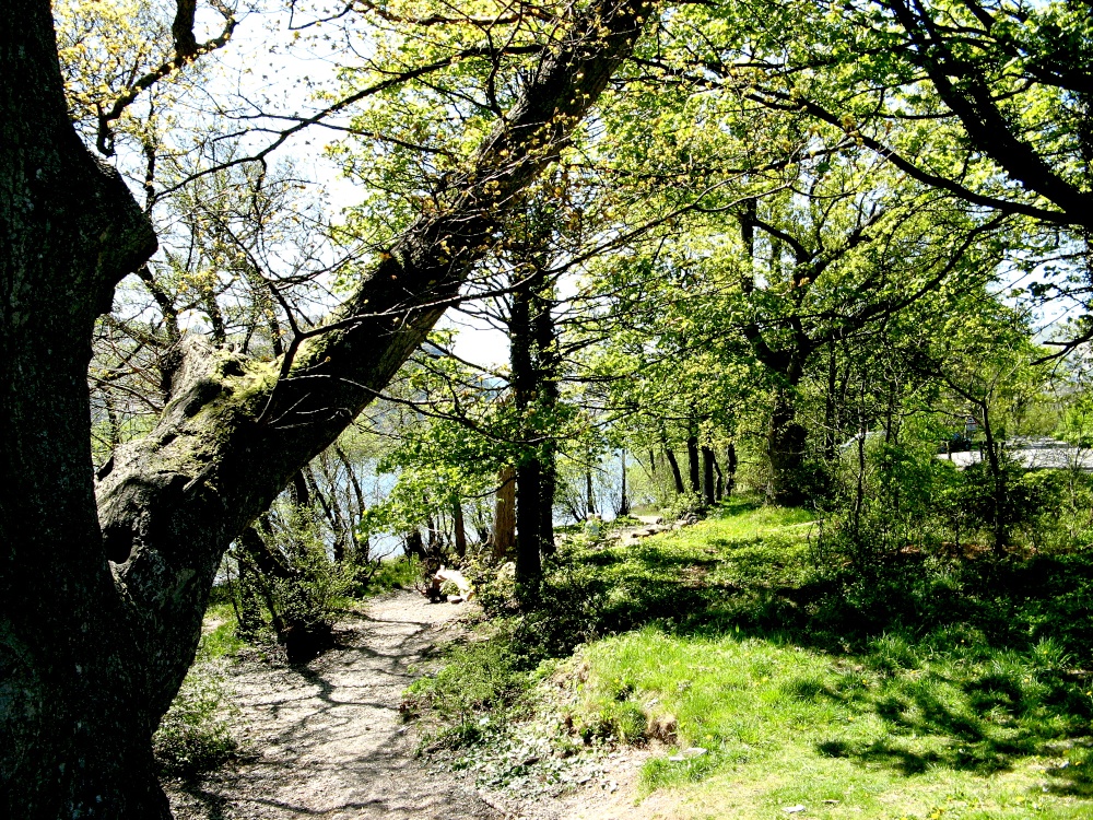 Ullswater west shore.