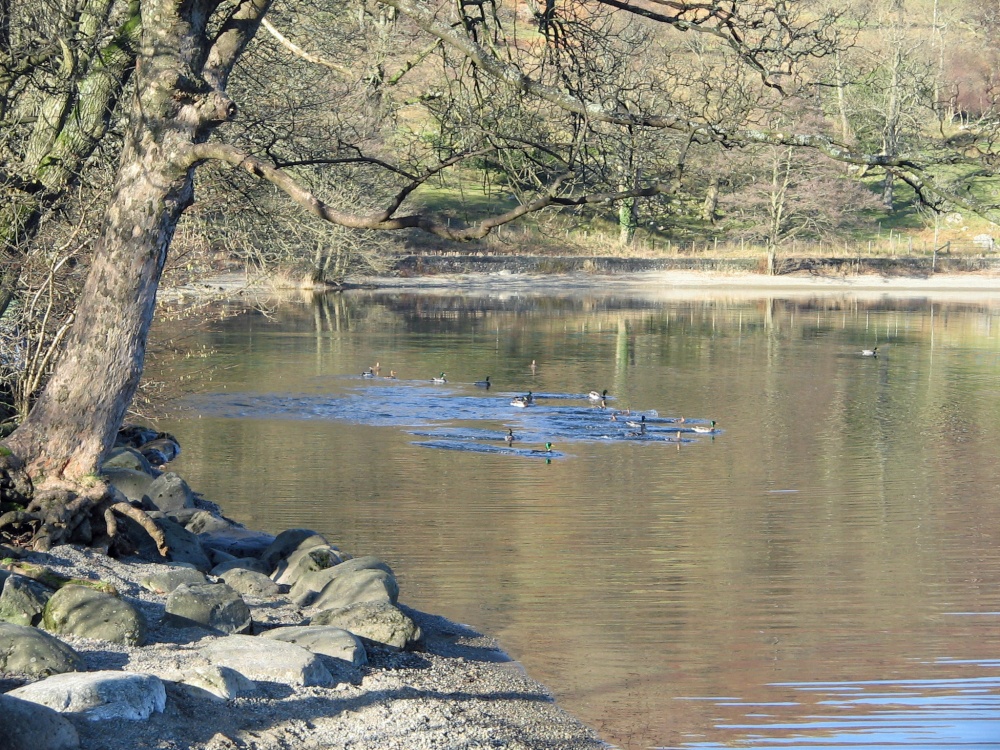 February on Ullswater.