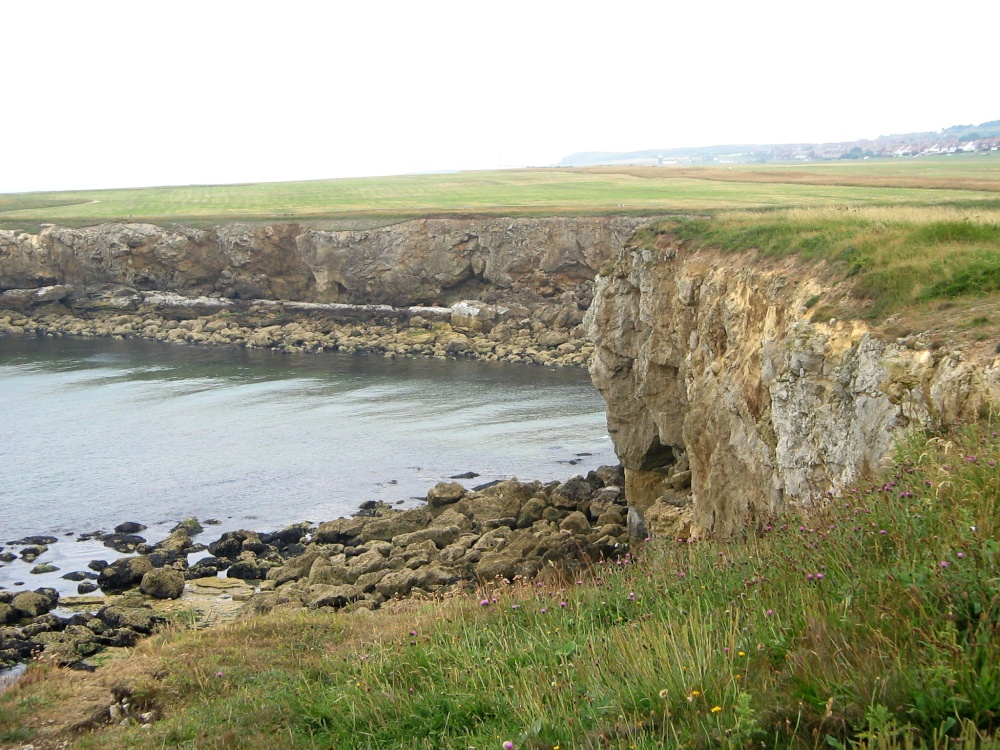 Coastal Footpath, Whitburn.