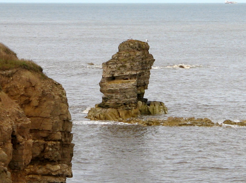 The coastal footpath, Whitburn, Tyne and Wear.