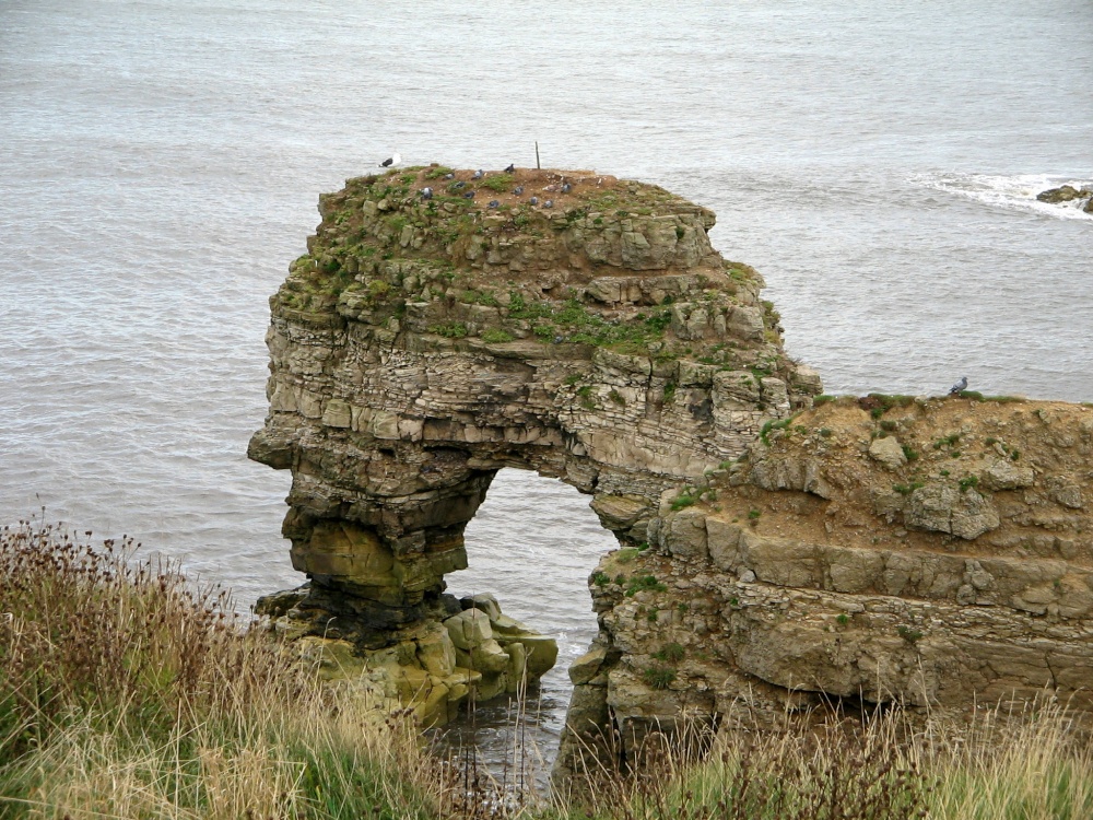 The coastal footpath, Whitburn, Tyne and Wear.