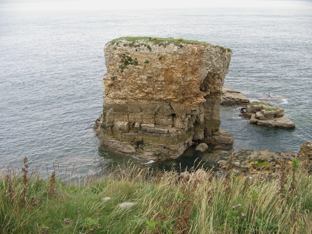 Viewed along the Coastal Walk, Whitburn, Tyne and Wear.