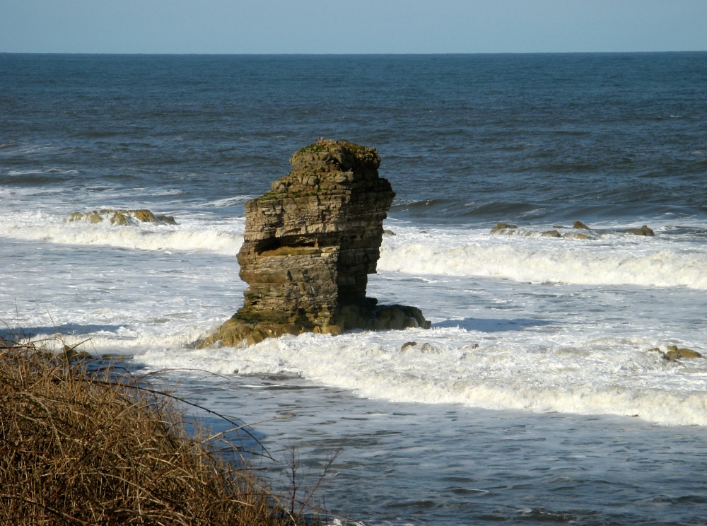 A view from the Coastal Path, Whitburn, Tyne and Wear